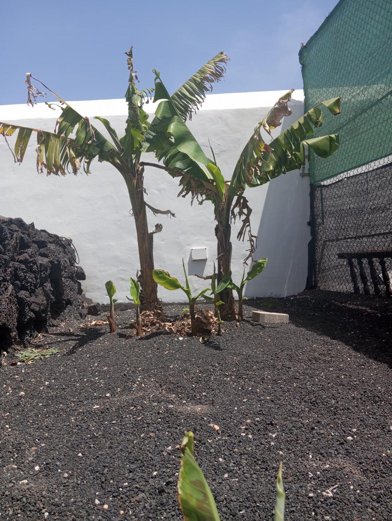 Casa Siempreviva Villa Teguise  Ngoại thất bức ảnh